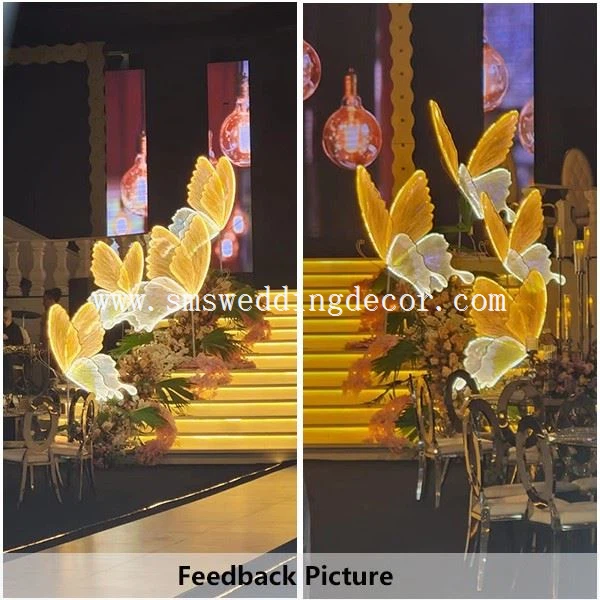 big butterfly lights